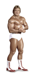 Paul Orndorff with transparency Meme Template