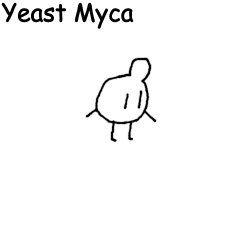 Yeast Myca Meme Template