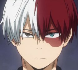 Todoroki Meme Template