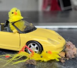 chick_car Meme Template