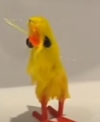 chick take shower Meme Template