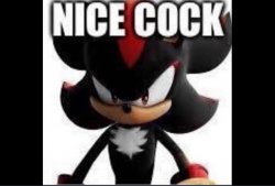 NiCe CoCk sHaDoWwW Meme Template