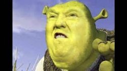 Shrek clean memes Meme Template