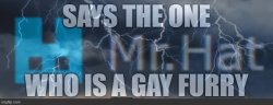 says the one who is a gay furry Meme Template