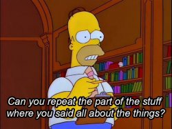Homer Simpson repeat all the stuff Meme Template