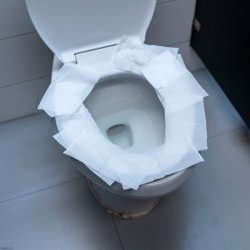 Public Toilet Meme Template