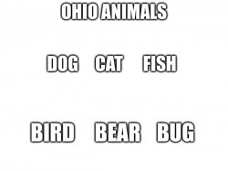 ohio animals Meme Template