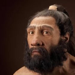 Neanderthal Meme Template