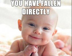 Funny baby faces photo Meme Template