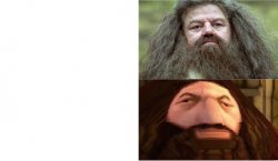 Hagrid Ps1 Meme Template
