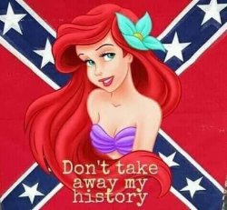 Confederate Ariel Meme Template