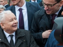 Kaczor i pinokio Meme Template