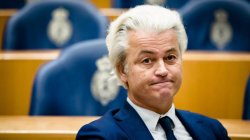Wilders Meme Template