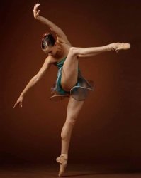 Meredith Webster Meme Template