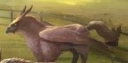 Hippogriff Meme Template