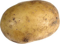 Potato Meme Template