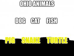 ohio animals 2 Meme Template