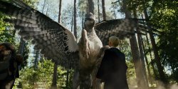 Buckbeak attacking Draco Malfoy Meme Template
