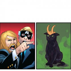 Thor and Loki cat Meme Template