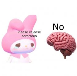 please release serotonin Meme Template