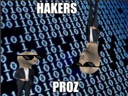 Hackerz proz Meme Template