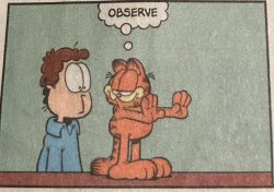 Garfield Observe Meme Template