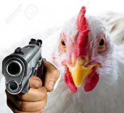 Chicken with a gun Meme Template