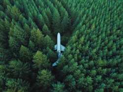 plane in the trees Meme Template
