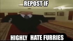 Repost if highly hate furries Meme Template