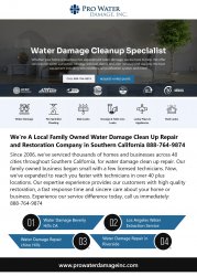 Water Damage Repair in Chino Hills Meme Template
