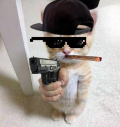Thug cat Meme Template