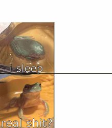 real shit frog ? Meme Template