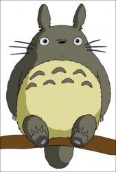 Totoro Meme Template