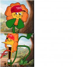 HAPPY THEN ANGRY FLOWERS, MAGA HATS Meme Template