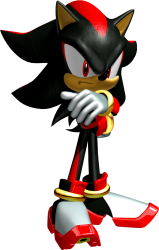 Shadow The Hedgehog ( Heroes ) Meme Template