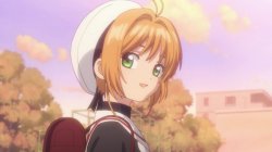 Sakura Kinomoto Meme Template