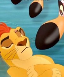 Kion sleeping for no reason Meme Template