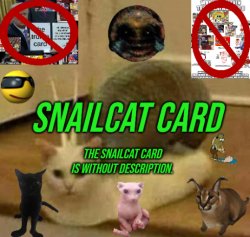 SNAILCAT CARD Meme Template