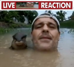 Live Flood guy and Otter Reaction Meme Template