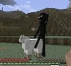 Enderman Holding Sheep Meme Template