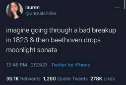 Beethoven drops Moonlight Sonata Meme Template