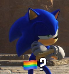 sonic gay flag Meme Template