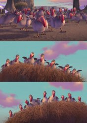 Angry Dodos Meme Template