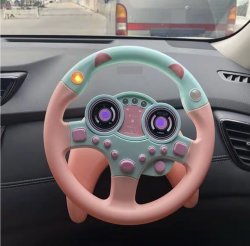 Kids steering wheel Meme Template