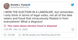 Donald Trump tweet voter fraud Meme Template