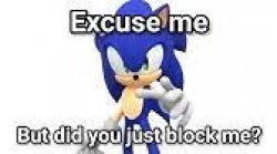 sonic did you just block me Meme Template