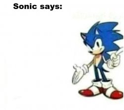 Shadow and Sonic Meme template (I don't know if it has a name). Credit:  @kora_doodles .  Source: :  r/SonicTheHedgehog