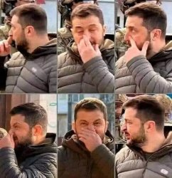 Zelenskyi allergic Meme Template