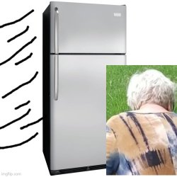 fridge thrown at angry grandma Meme Template