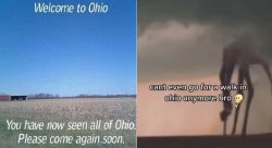 ohio Meme Template